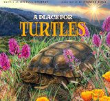 turtles-place-for